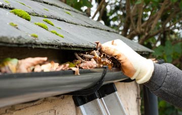 gutter cleaning Manor Park