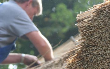 professional Manor Park thatchers